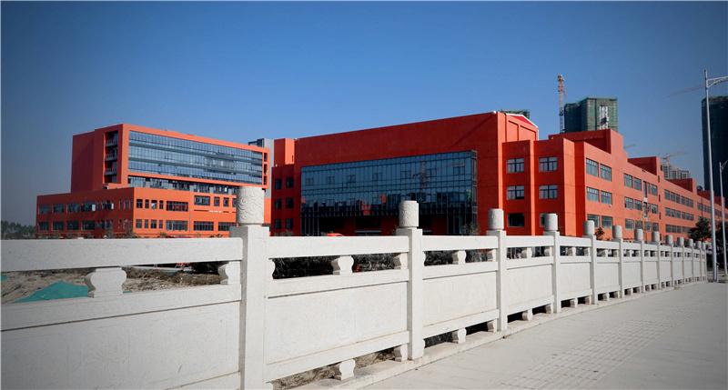 1649224682614711.jpg IMG_6411.jpg