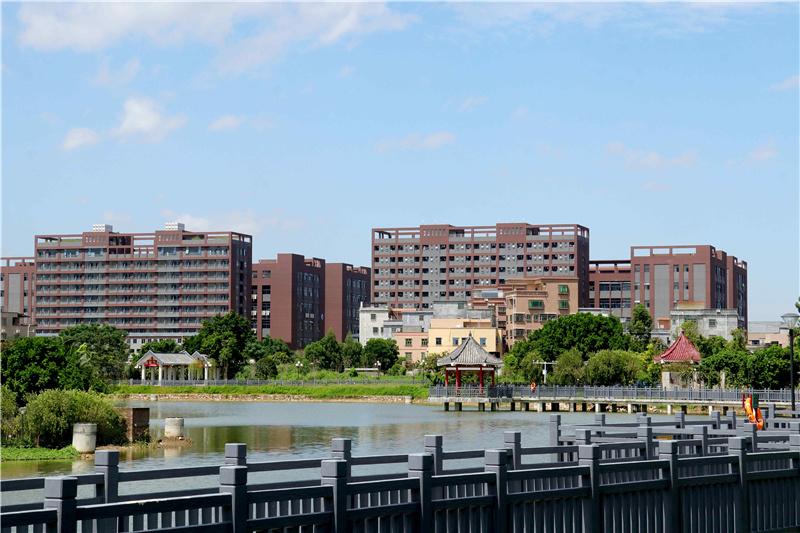 1649224727773293.jpg IMG_2792(7).jpg